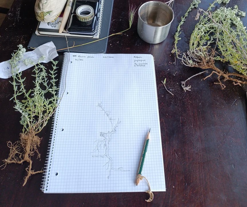 ExFuMo1's tweet photo. 📢A new blog published! Using drawing as a tool for learning ✏️🌱🌵
Read more here⏩ https://t.co/utaaJn6iTw
As a person who draws almost every day, I was surprised to discover just how effective drawing can be as a tool for learning about anything, really
#GoBelowground #CloPla https://t.co/lpyqymwUB9