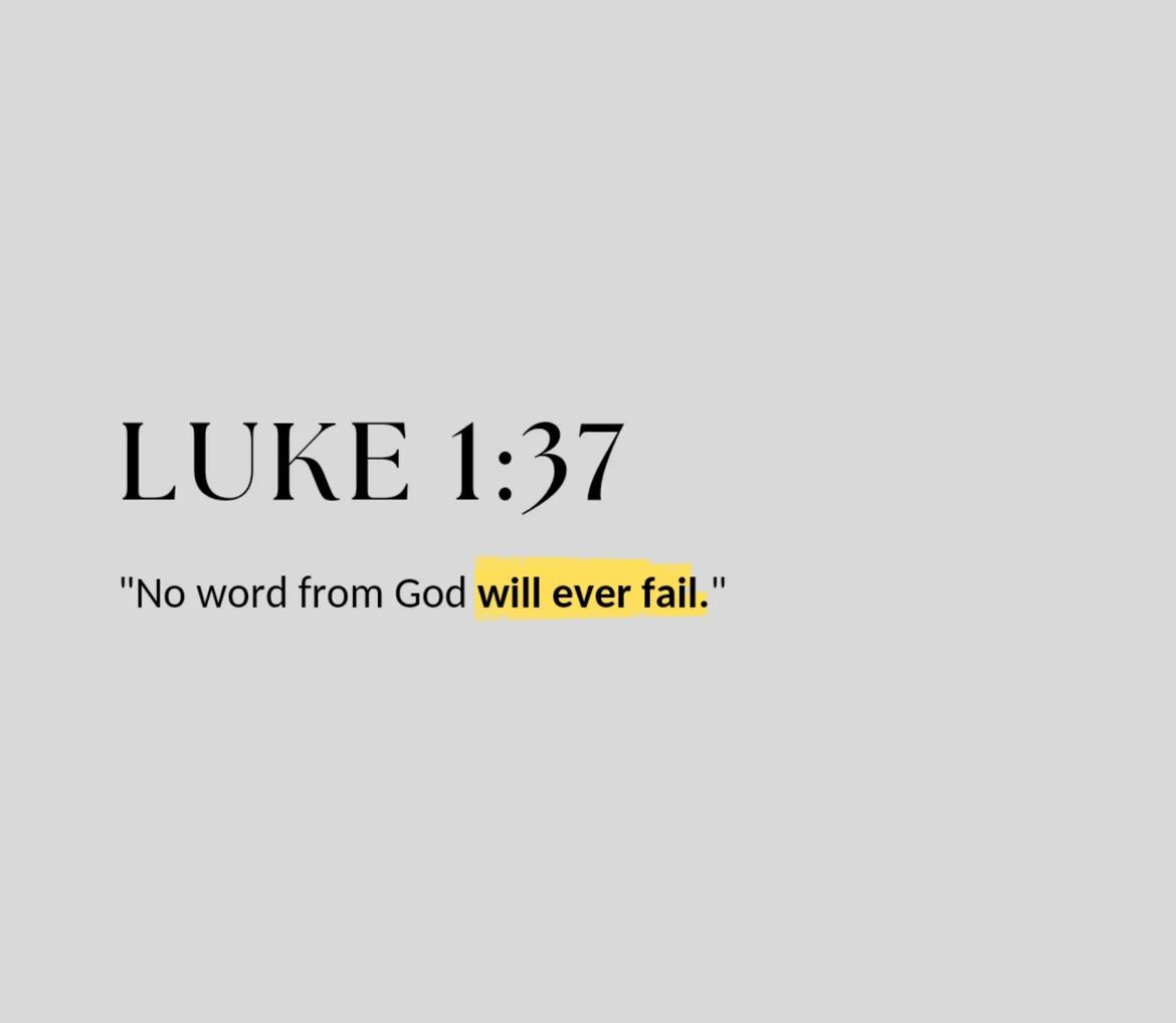 Bible 365 (@bible365_) on Twitter photo 
