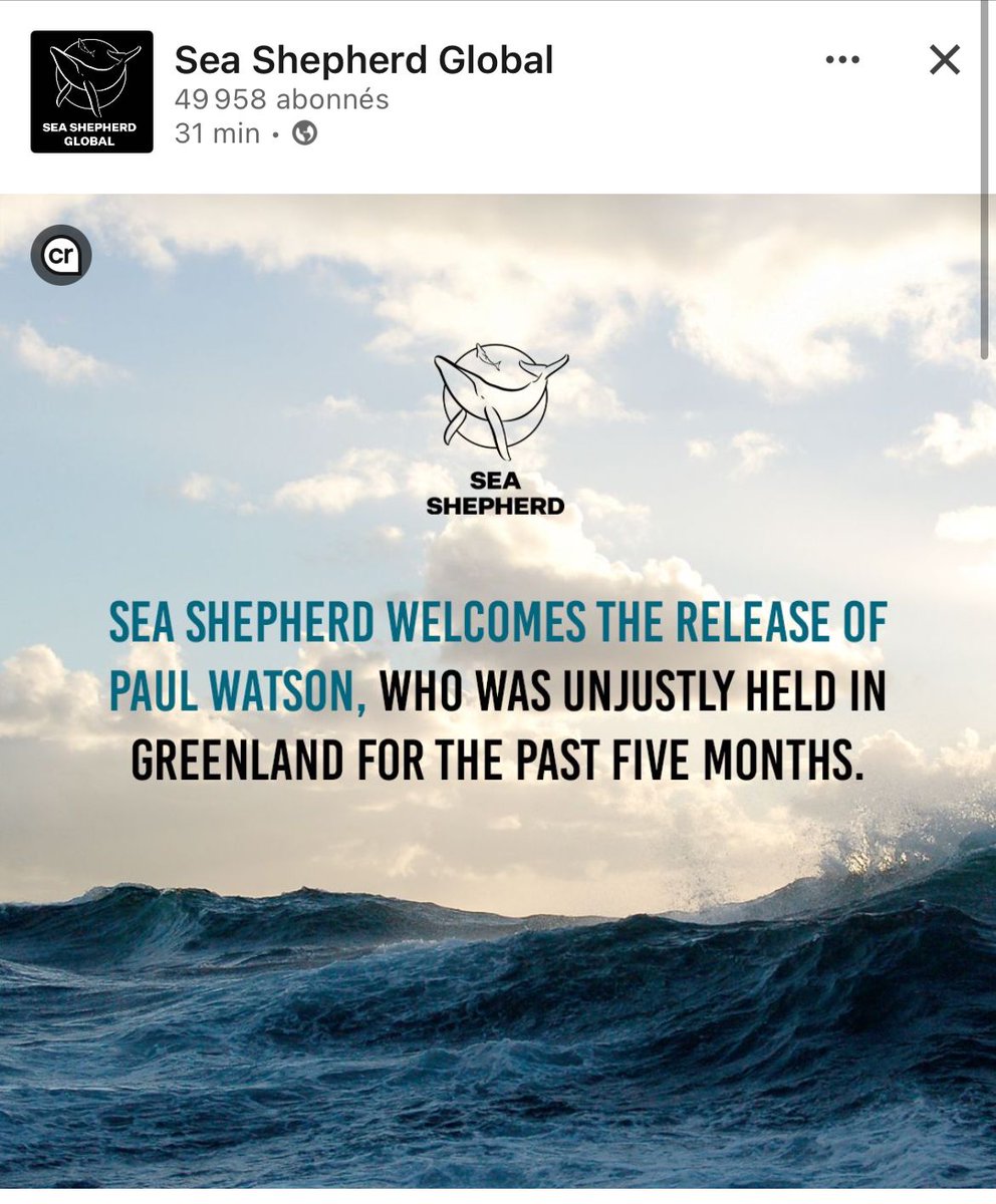 Nés avant la honte.
Les 4 directeurs de Sea Shepherd Global (Alex Cornelissen , Peter Hammarstedt, Geert Vons et Jeff Hansen) qui ont illégalement évincé Paul Watson et moi même en 2022 ont refusé d’apporter la moindre aide à sa libération pendant ces 5 mois et demi