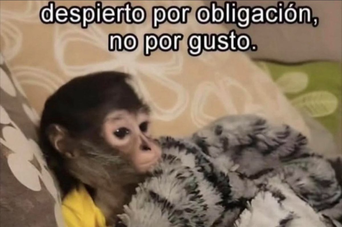 skereunpesado's tweet photo. https://t.co/qdUZlMKQLO