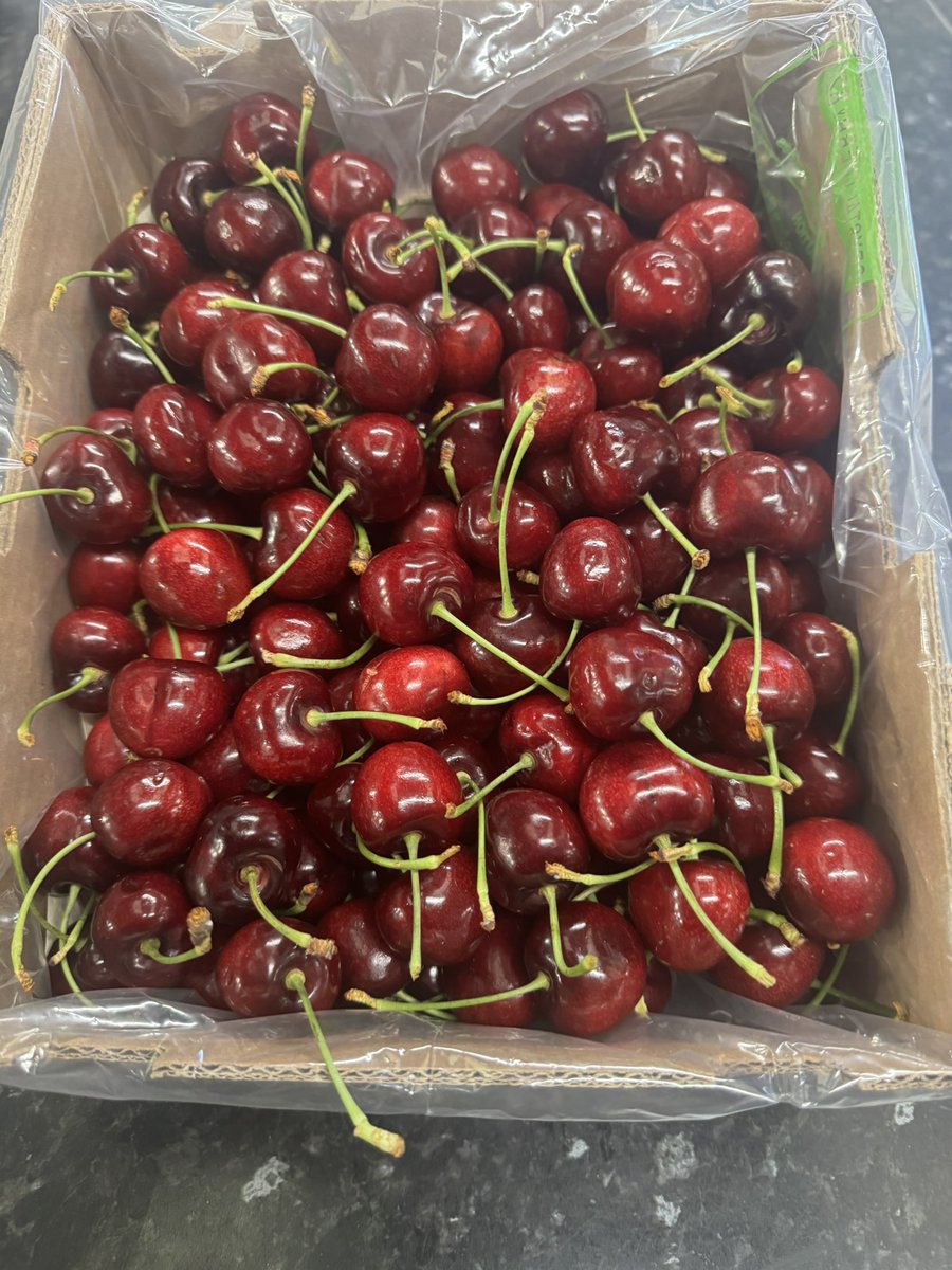 Tatws Trading 🏴󠁧󠁢󠁷󠁬󠁳󠁿🏴󠁧󠁢󠁷󠁬󠁳󠁿 tweet media