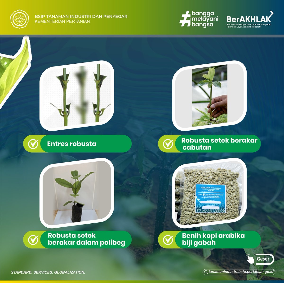 brmptri's tweet image. Hi, #frenSIP!
Apakah #frenSIP membutuhkan benih kopi berkualitas yang tersertifikasi? 

Unit Pengelola Benih Sumber (UPBS) BSIP TRI adalah salah satu unit yang memproduksi, mengelola, dan mendistribusikan benih kopi terstandar.

#benihkopi #UPBS #kopi #standar