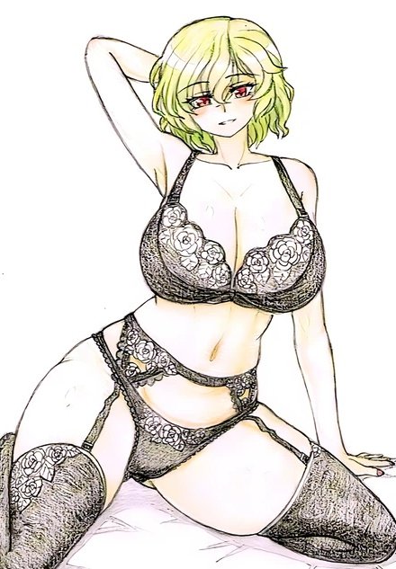 うちの幽香さんは白薔薇をあしらった黒下着を着ていますが、これは恋人である少年『ひさし』に対する想いが反映されたものです。
白薔薇の花言葉は『相思相愛』『無邪気』『あなたの色に染まる』など。 