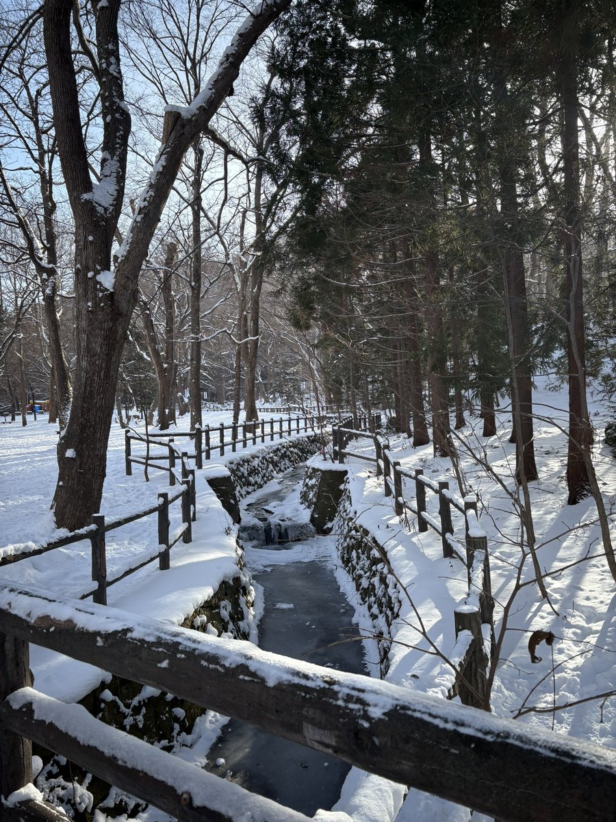 还是白天的雪景好看，北海道下午4点就天黑，达咩不够看