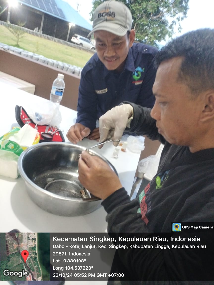 MegaTania17's tweet photo. Rabu (23/10) Mega Tania, Luhkan Kab Lingga, Pdi PT Singkep Putra Perkasa Ds Lanjut, Pengambilan Sampel Survailance dan Monitoring Penyakit Ikan bersama Tim Budidaya DKP Kepri
#GiatLuhkanSatminkalMedan #Lingga #Vannamei
@bppsdm_kp
@kkpgoid
@pusluhkp
@bppsdm_bp3medan
@BASRIBOSBAS https://t.co/f4hkfvCtAX