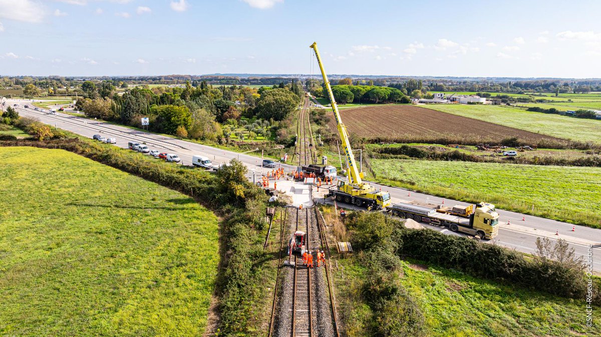 Catherine TREVET tweet media