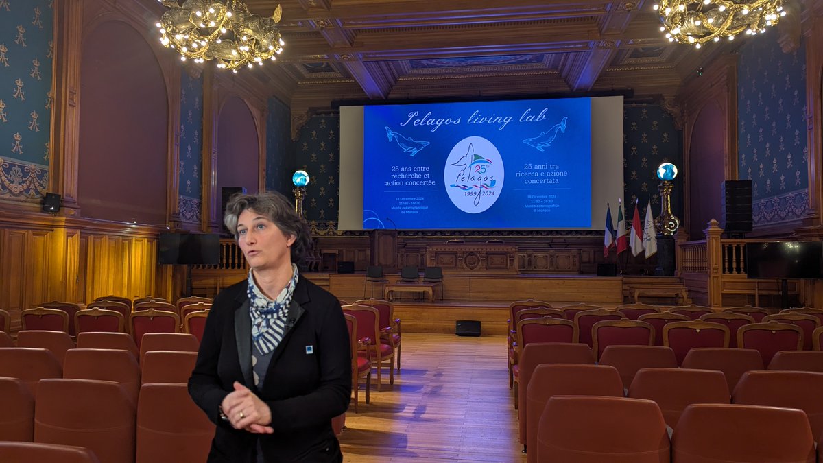 CIMA Research Foundation tweet media