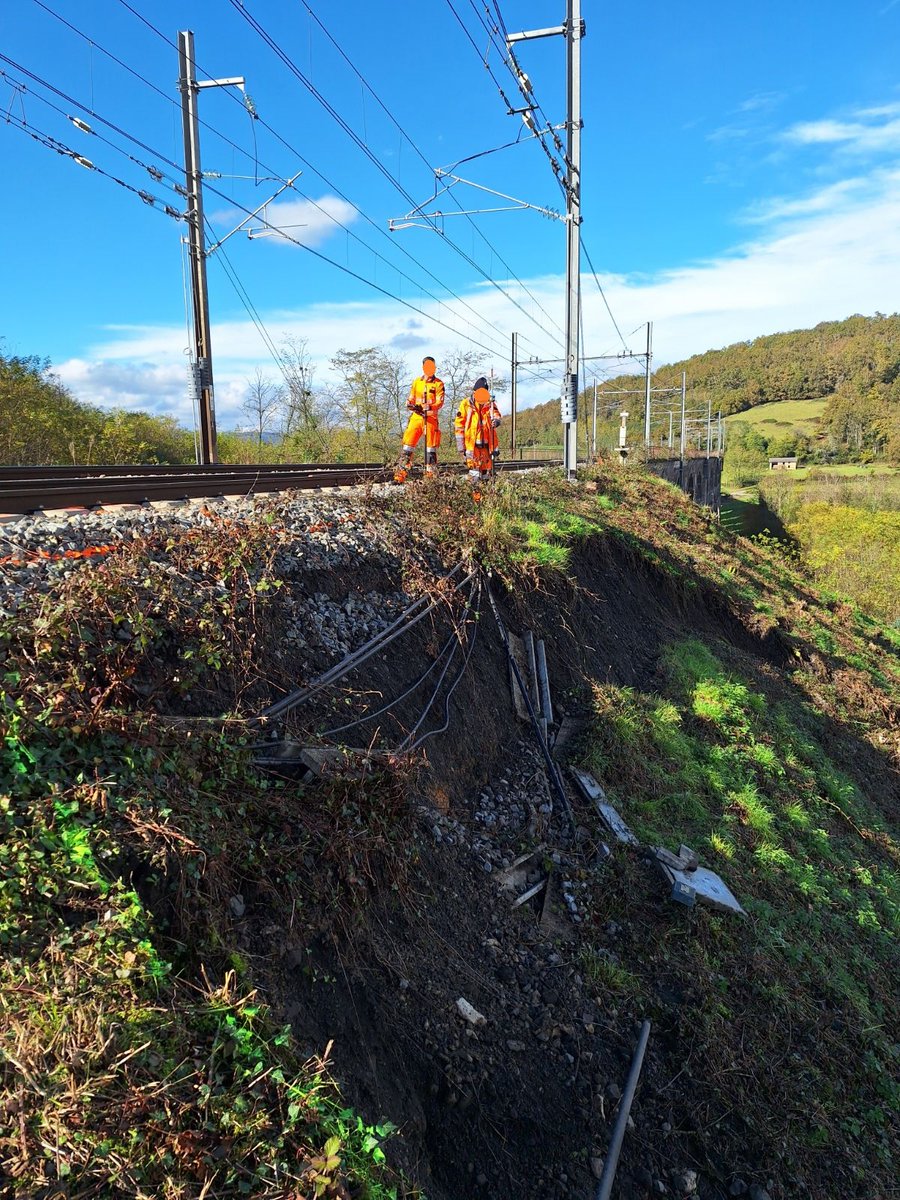 Catherine TREVET tweet media