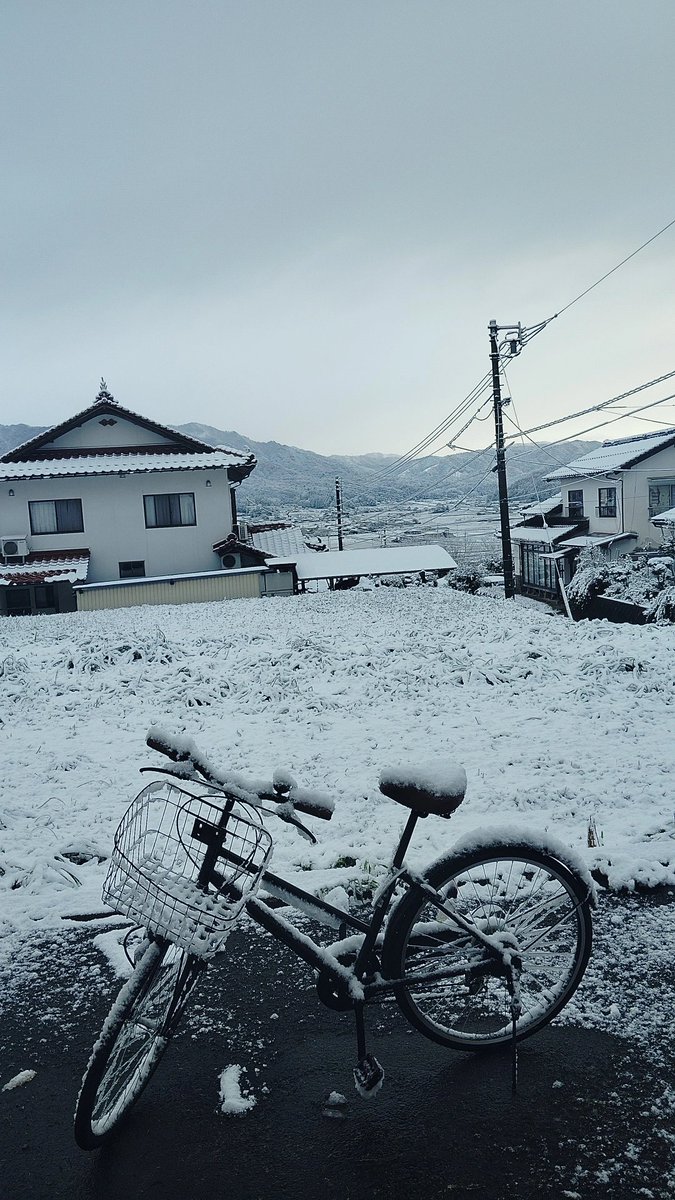 🇯🇵 سايبو (@cybojp) on Twitter photo 