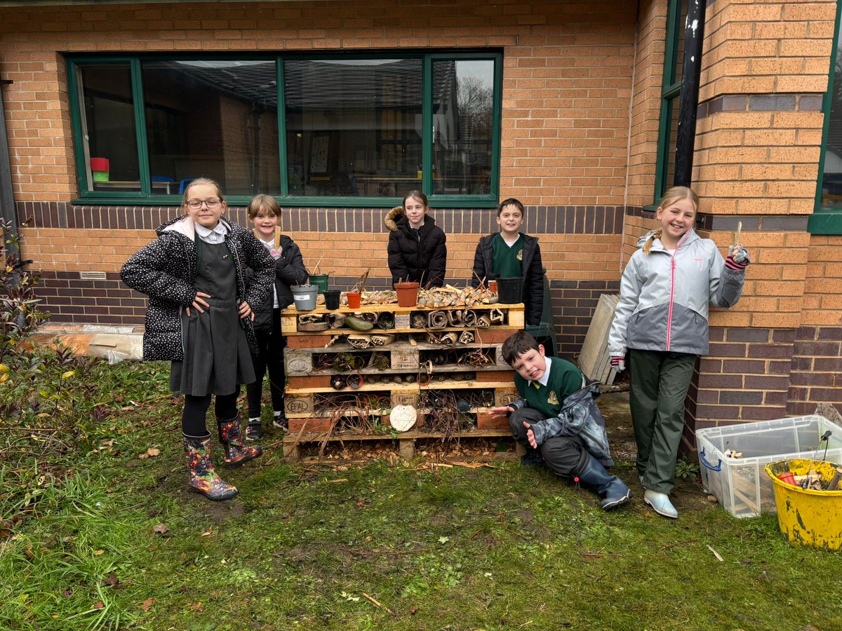 Have you heard about our Newt Networks project? 🦎🌍

Activities like this bug hotel 🏨 (built by Acton Park Primary's Eco Council 💪🤩) provide shelter for hedgehogs, toads, bees, ladybirds &amp; more. Great work, team! 👏