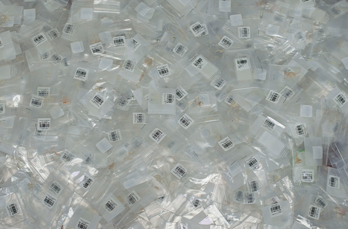 Atlantic PATH tweet media