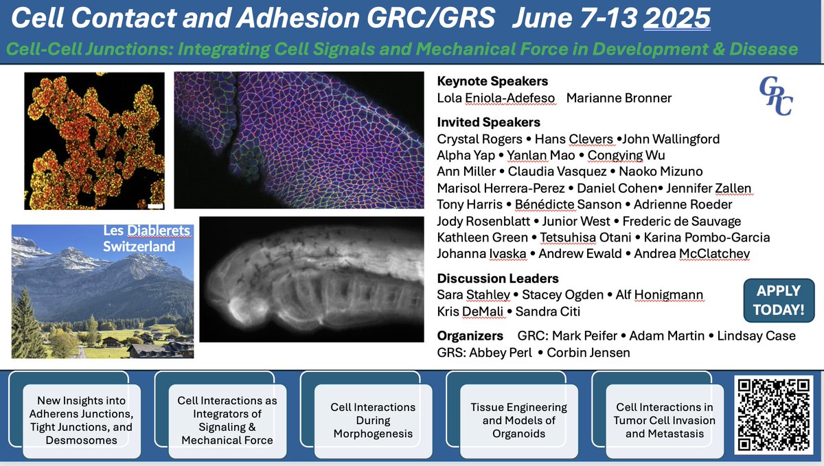 Cell and developmental biologists: as you start looking at conferences in 2025, consider joining us at the 2025 Cell Contact &amp; Adhesion GRC. We've assembled a strong and diverse program of speakers at the cutting-edge of science in our field 1/n Please RT
grc.org/cell-contact-a…