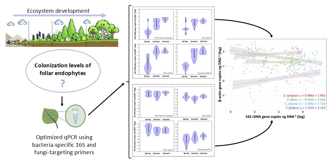 Botanical Society of America (@botanical_) on Twitter photo qPCR-based quantification reveals high plant host-specificity of endophytic colonization levels in leaves
New #AJB research by Caio César Pires de Paula, Jiří Bárta, Dagmara Sirová et al.
doi.org/10.1002/ajb2.1… #botany #fungi <a href="/wileyplantsci/">Wiley Plant Science</a> <a href="/WileyEcolEvol/">Wiley Ecology & Evolution</a> <a href="/fungirockCZ/">LEM</a> qPCR-based quantification reveals high plant host-specificity of endophytic colonization levels in leaves
New #AJB research by Caio César Pires de Paula, Jiří Bárta, Dagmara Sirová et al.
doi.org/10.1002/ajb2.1… #botany #fungi <a href="/wileyplantsci/">Wiley Plant Science</a> <a href="/WileyEcolEvol/">Wiley Ecology & Evolution</a> <a href="/fungirockCZ/">LEM</a>