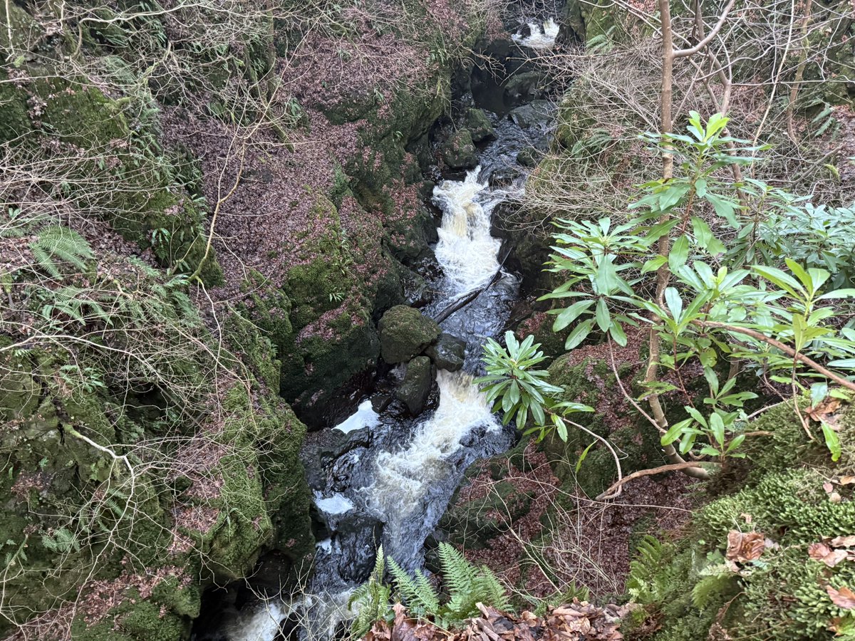 rik_curtis's tweet photo. Work finished so thought I’d take a walk to see the famous #RumblingBridge…….it’s steep drop!!!! 🙌🙌🤣 https://t.co/WcmPFJ9yZr