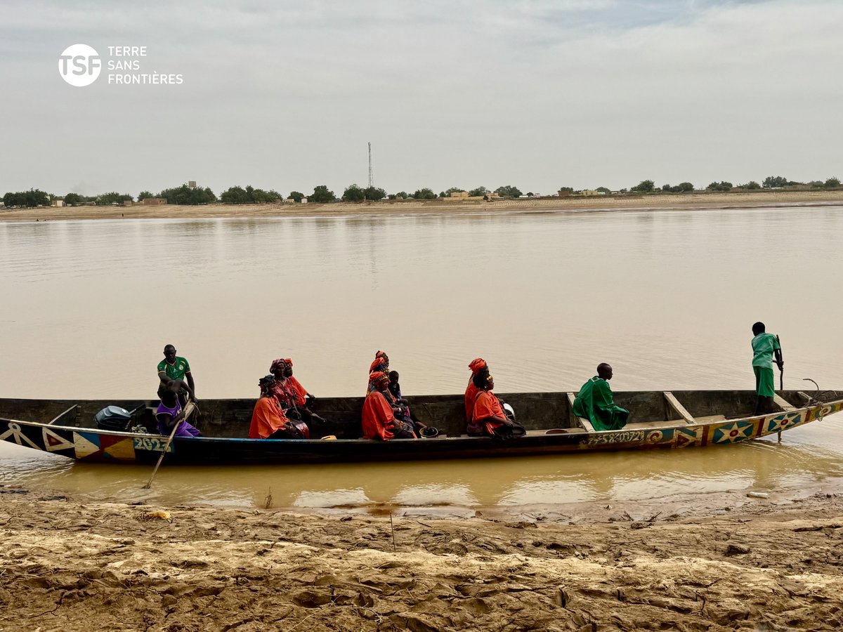 Terre Sans Frontières tweet media