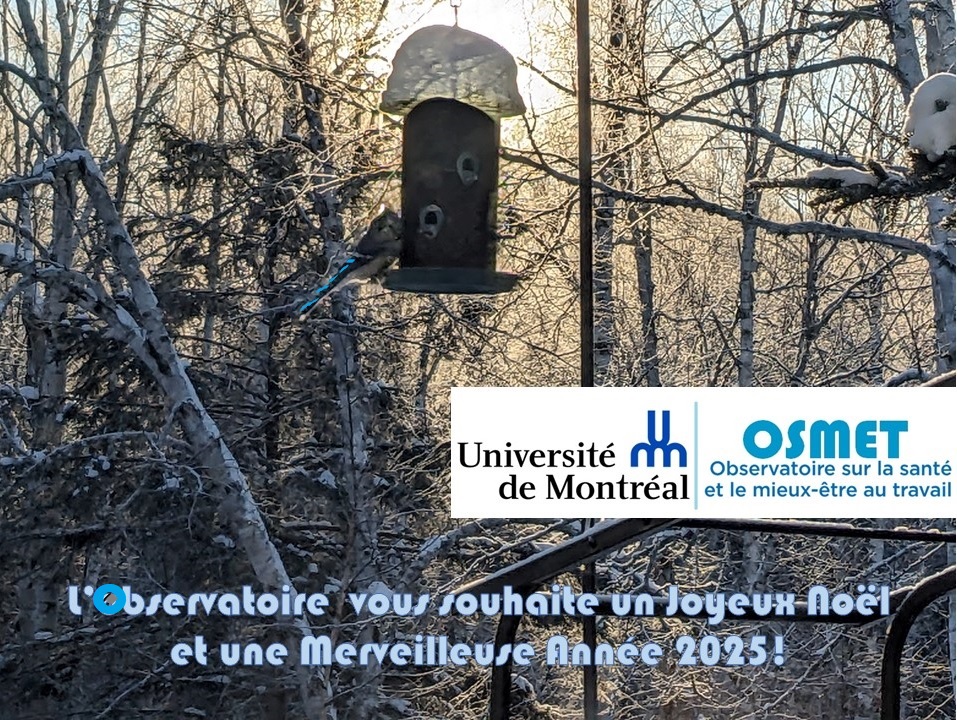 L'Observatoire vous souhaite de Joyeuses Fêtes et vous adresse ses Meilleurs Vœux pour 2025 🌟