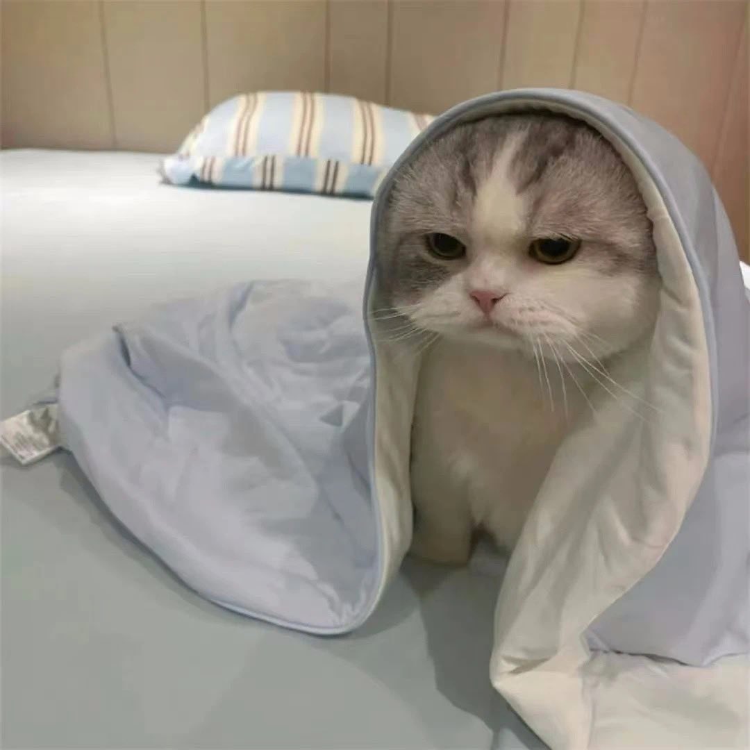 怎么会有骚狗射主人一身的！！！啊啊啊啊啊啊啊！（不过小狗这个天女散花玩的也是真厉害😈

臭狗：<a href="/Richard97947770/">Rick Dairy Co.Ltd</a>