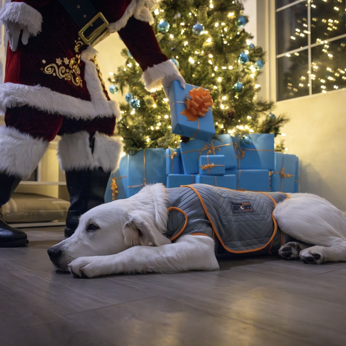 Time for your final holiday preparations! Make sure Santa sends your pet their ThunderShirt to unwrap on Christmas Day 🎄❤️🐶