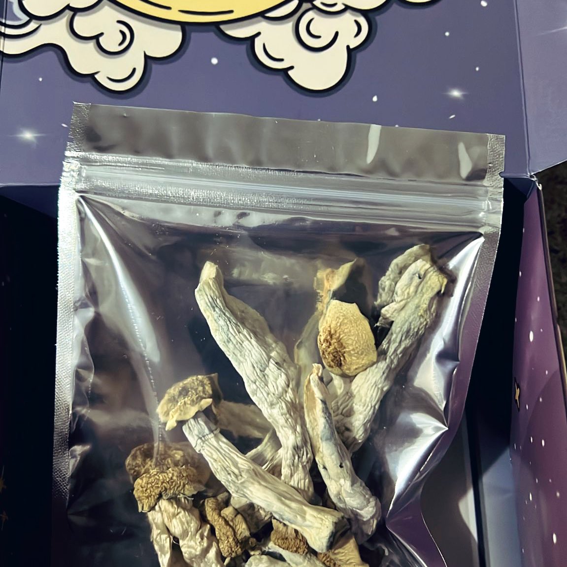 Pregunta por nuestras promos especiales este mes 🎄 

Envíos gratis a toda Colombia 🎁

wa.link/irsxt2