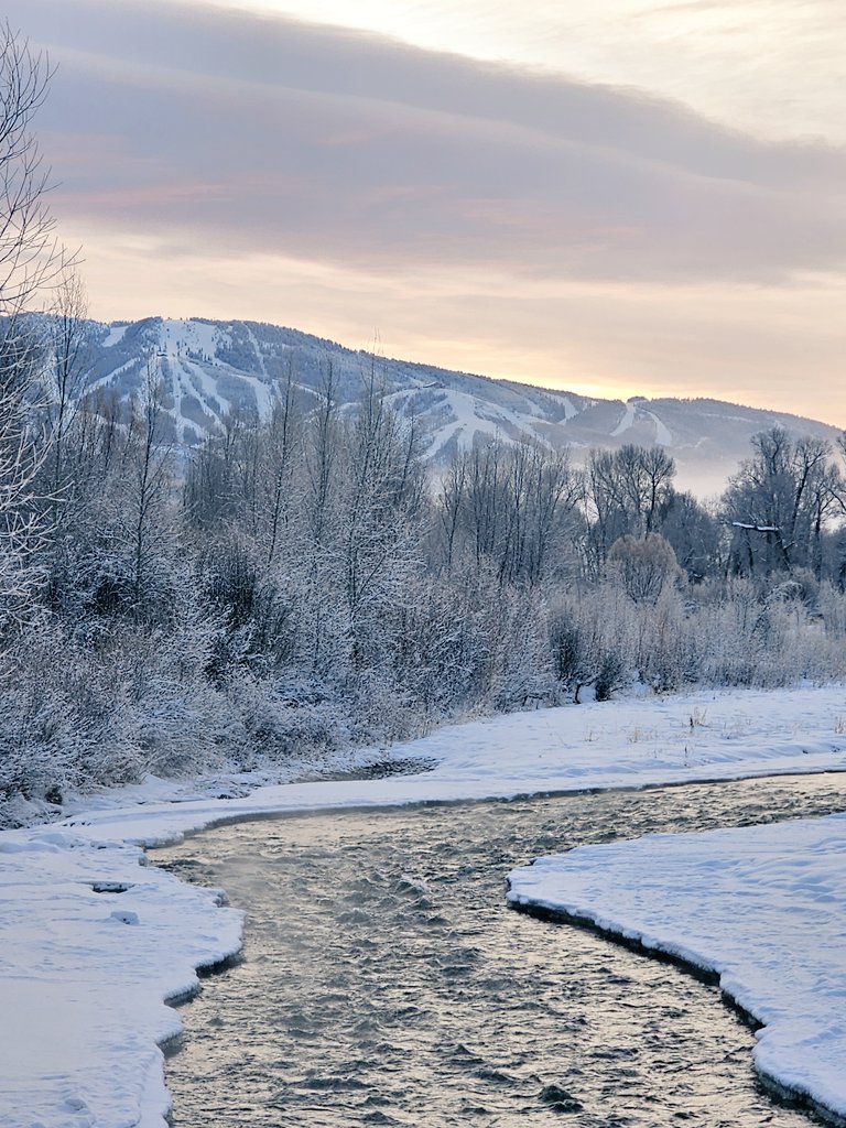 CarrieAnn Fain tweet media