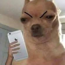 So the army barracks getting free jikook concerts before me???