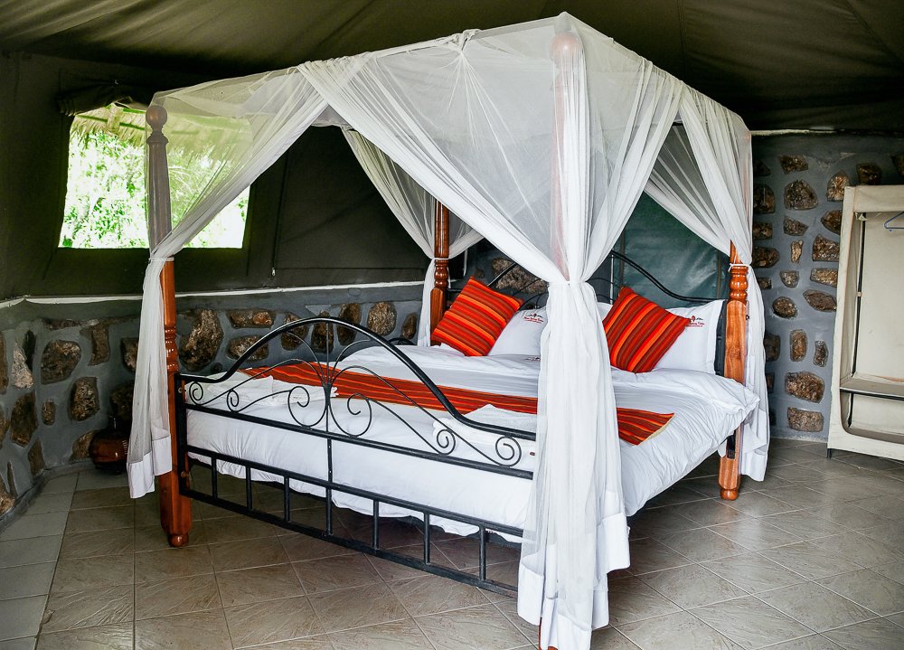 Reverietours's tweet photo. Are you looking for a last minute christmas booking?
We still have availability at Elangata Olerai camp
To book call 0745777226
Email:deals@reveieadventures.com https://t.co/BRzcQQbhvK