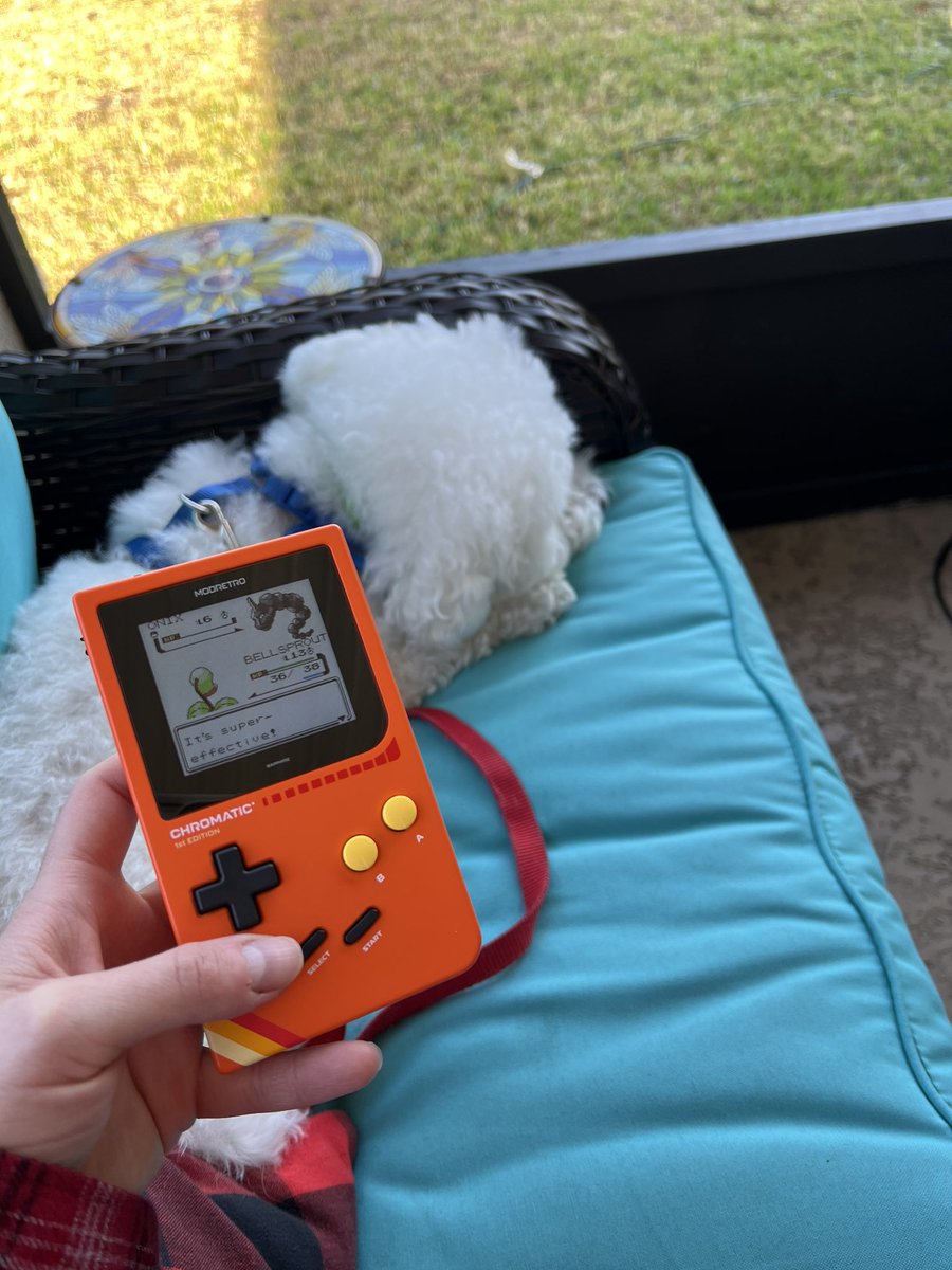 mary_goglia's tweet photo. I was hanging out with my dog on the bench outside with my chromatic enjoying the fresh air and some retro gaming fun. But then my dog wanted to come inside so now it’s just me outside playing a game lol. #modretrochromatic https://t.co/SPElCv1wHc