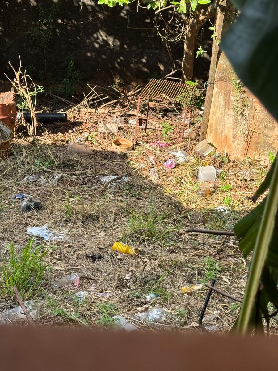 Denunciamos una casa abandonada en fdo de la mora, al un nro q salió en el diario 0994315546 para denuncias de baldíos.
Es una casa sucia, con yuyal y recipientes esparcidos que juntan agua y mosquitos. Millón de insectos cruzan hacia mi casa.

No tenemos rta de <a href="/MunideFernando/">Municipalidad de Fernando de la Mora</a>