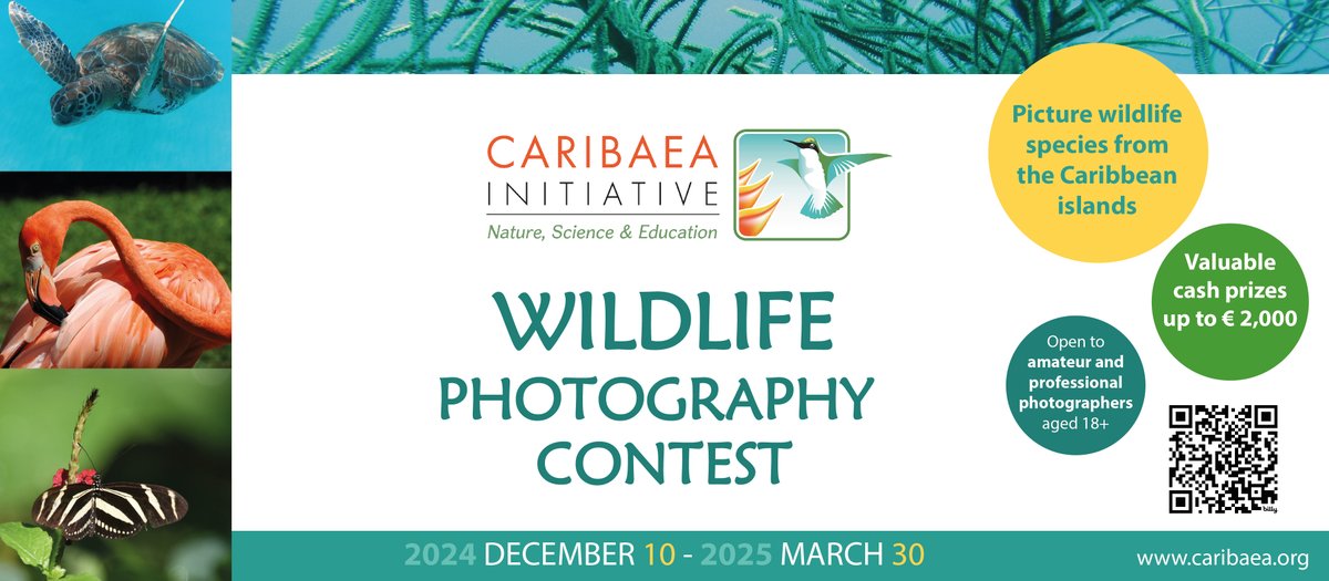 📸 Join the Caribaea Initiative Photo Contest!
Capture the unique wildlife of the Caribbean &amp; win up to €2,000! 

🎯 Theme: Wildlife of the insular Caribbean
📅 Deadline: March 30, 2025
💻 Fees: From €10

👉 bit.ly/3BkYtjJ

#PhotoContest #Biodiversity #Wildlife