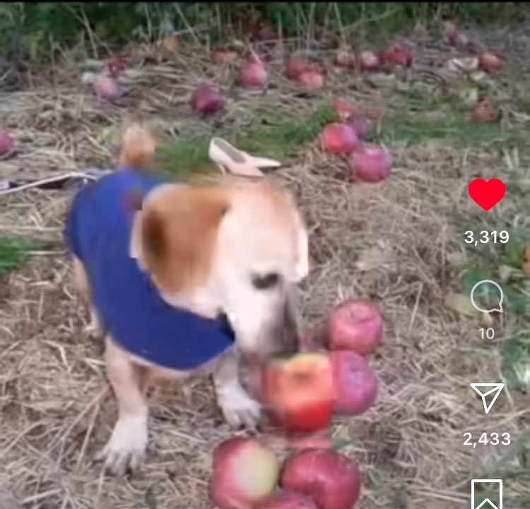 高島裕也 / yuya takashima on X