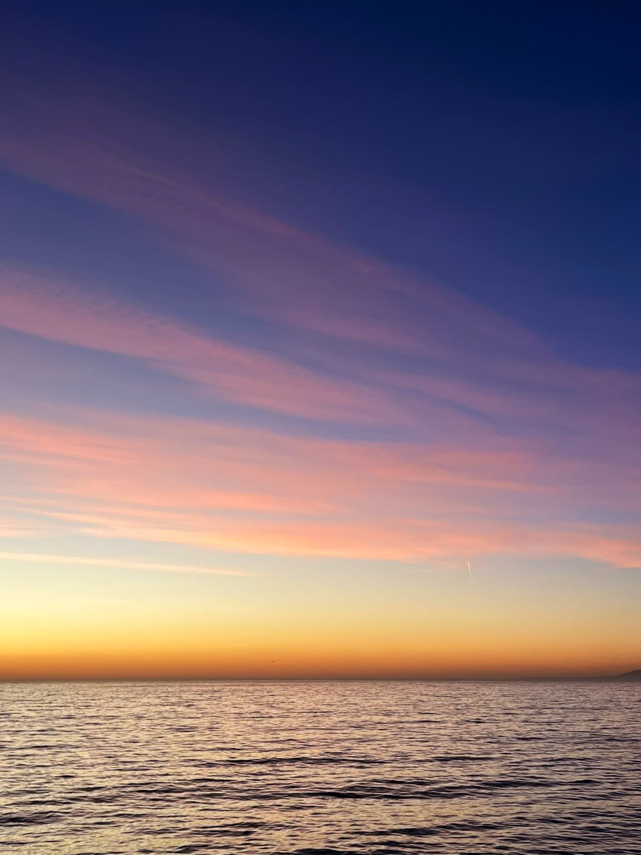 Rise &amp; shine. #GM #HazyShadeOfWinter #GoodMorning