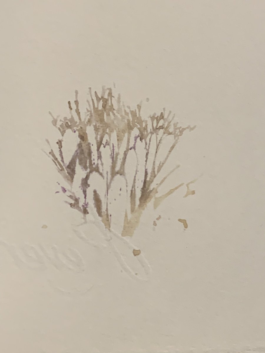 Flower splatter art #pressedflowers