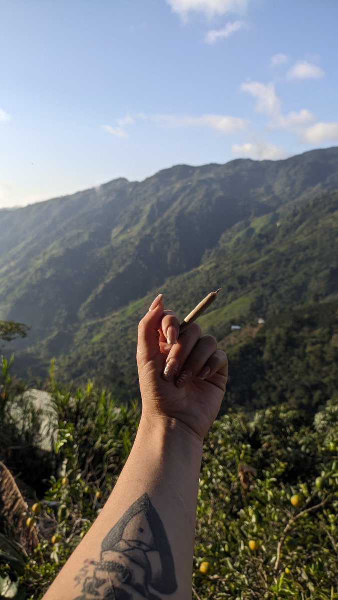 Anima_1518's tweet photo. Un porrito observando la cordillera 🍁😍 https://t.co/kI1Ls0ZT3v