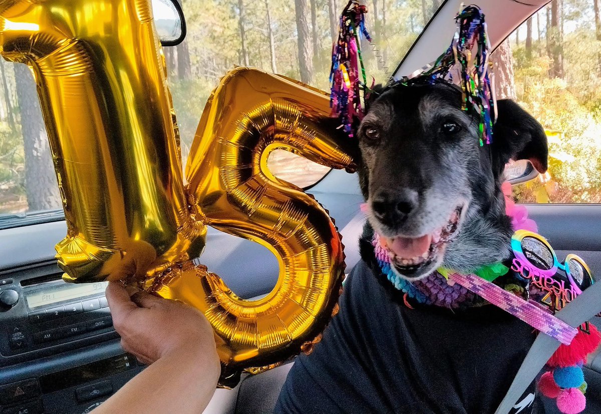 Feliciten a Mayita por sus 15 años ✨✨✨💖🐾🐶
