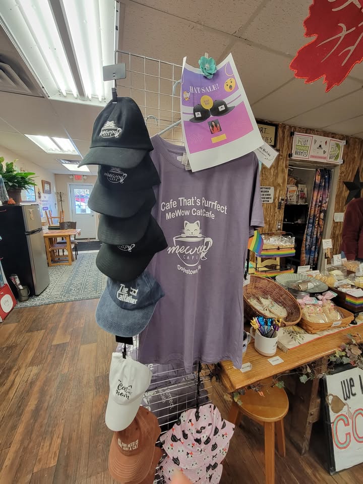 MeWowCatCafe's tweet photo. Have you checked out our store recently? Grab a coffee and shop early for the holidays! ❤️☕🫖🍪🧁😽
#mewow #CatCafe #catlovers #catsandcoffee #bestcoffee #coolgifts https://t.co/FkIva86vsd
