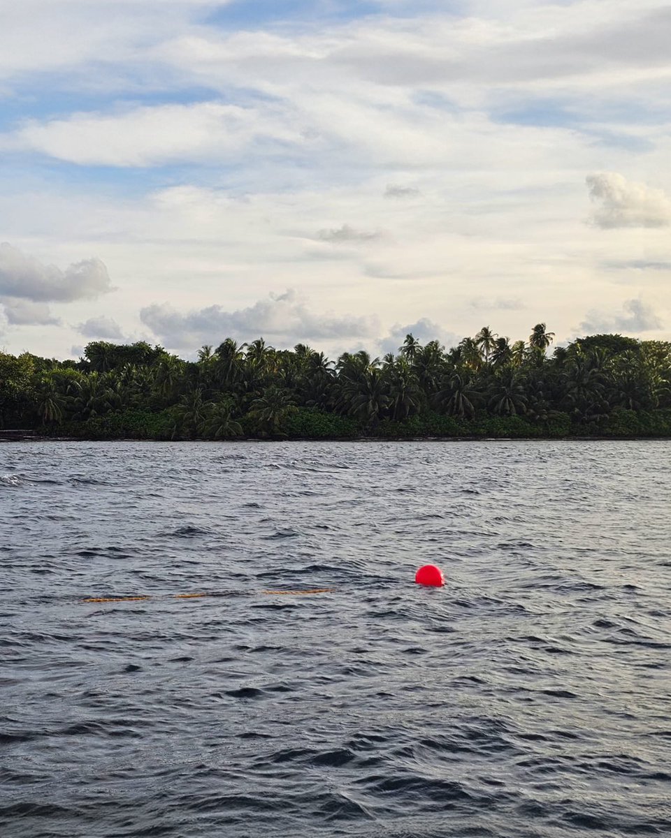 Conservation of Gaafu Dhaalu Vaadhoo Blue Bowls Surf Spot reef 🪸🏄‍♂️

Huvadhoo Assocation of Tourism (HAT) is working towards protecting this beautiful surf spot’s surrounding reef through BML Small Grants! With this initiative they hope to ensure sustainability of this natural