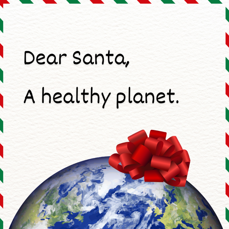 EU_ENV's tweet photo. Merry Christmas! ✨🎄

May you all enjoy the best 🎁 gift of all – a healthy planet!

We take a moment to appreciate those helping us fight climate change, protect our environment &amp; biodiversity, restore habitats, and reduce pollution - thank you all 💚 and happy holidays!