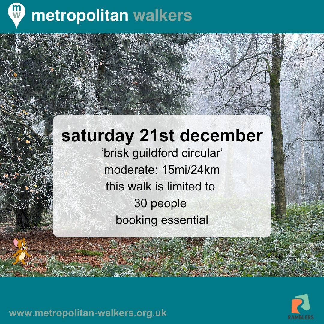 Metropolitan Walkers👣 tweet media
