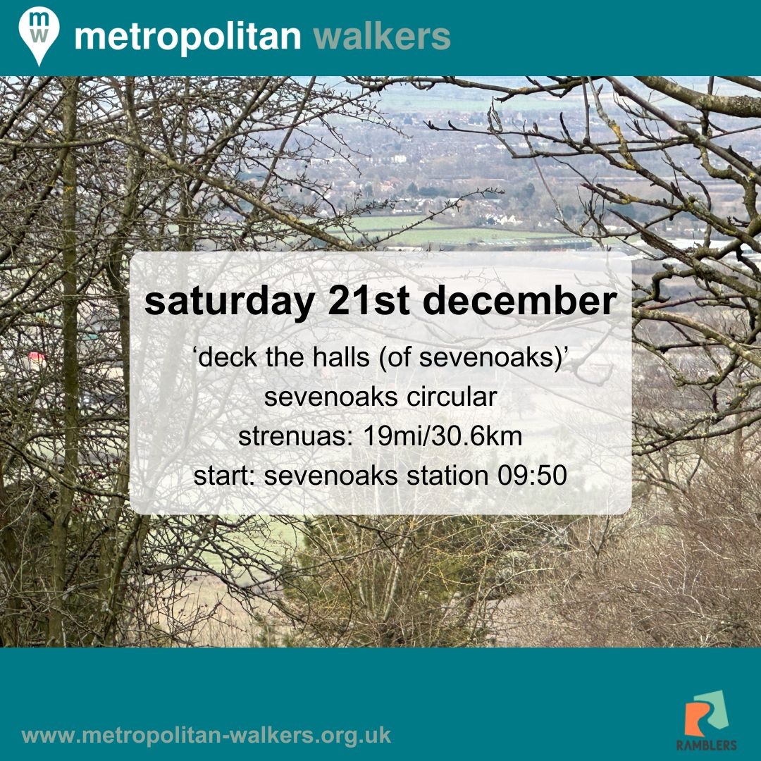 Metropolitan Walkers👣 tweet media