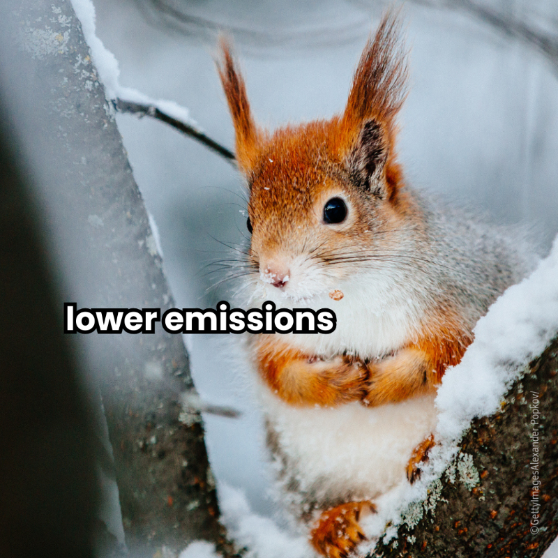 EU_ENV's tweet photo. Merry Christmas! ✨🎄

May you all enjoy the best 🎁 gift of all – a healthy planet!

We take a moment to appreciate those helping us fight climate change, protect our environment &amp; biodiversity, restore habitats, and reduce pollution - thank you all 💚 and happy holidays!