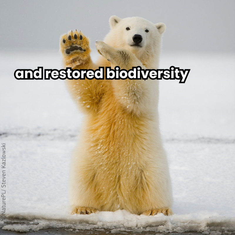EU_ENV's tweet photo. Merry Christmas! ✨🎄

May you all enjoy the best 🎁 gift of all – a healthy planet!

We take a moment to appreciate those helping us fight climate change, protect our environment &amp; biodiversity, restore habitats, and reduce pollution - thank you all 💚 and happy holidays!