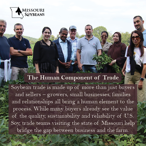 missourisoybean's tweet image. 🤝Trade isn’t just about goods; it’s about people. 

At Missouri Soybeans we're empowering people as a basis for soybean trade. Hosting trade missions in Missouri helps bridge the gap between business and the farm. 

Learn more: bit.ly/3VxDtxi

#MoSoy #trade #soy