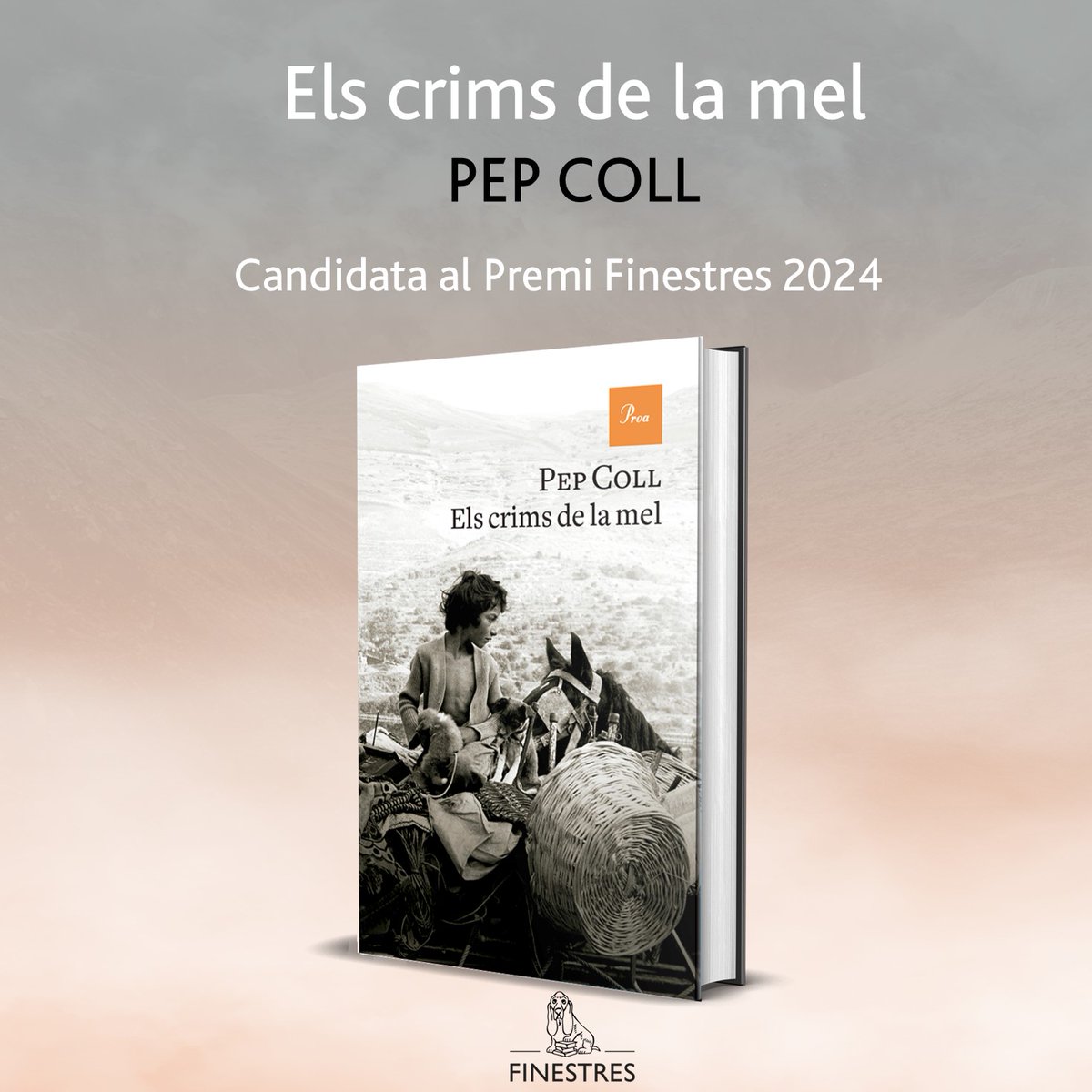 Ed_proa's tweet image. 🍯✨ 'Els crims de la mel' de #PepColl ha estat seleccionada per a formar part de la Longlist del Premi Finestres de Narrativa en català 2024. 

🙌 Un premi que reconeix la qualitat i audàcia d'una obra escrita originalment en català durant 2024. Enhorabona! 

@fund_finestres
