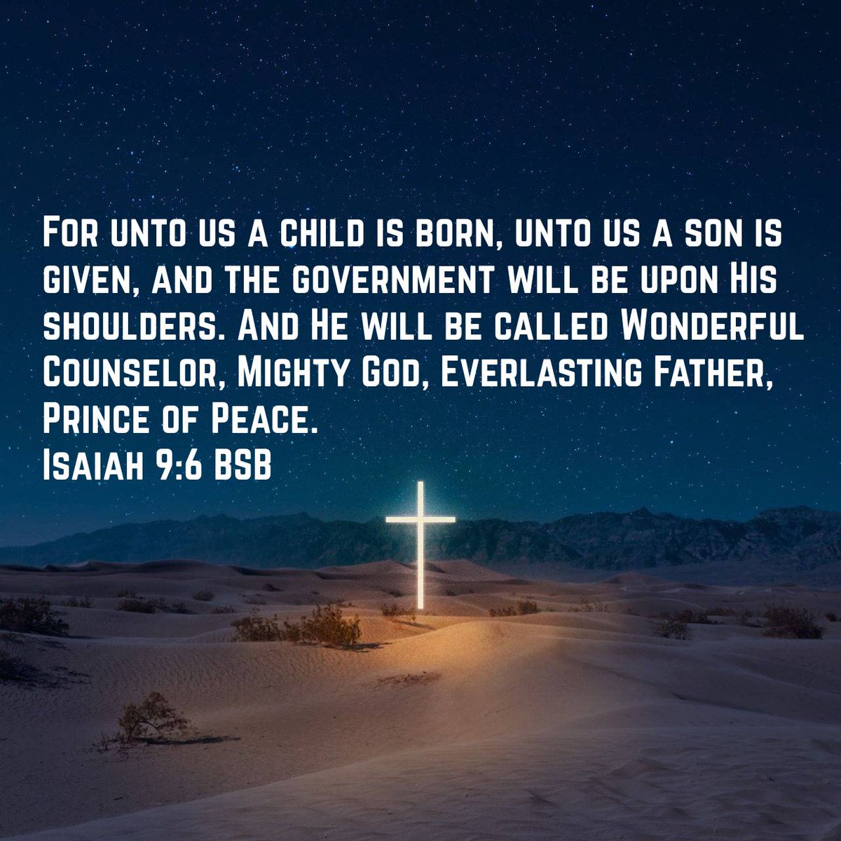 MochaChowder's tweet image. 