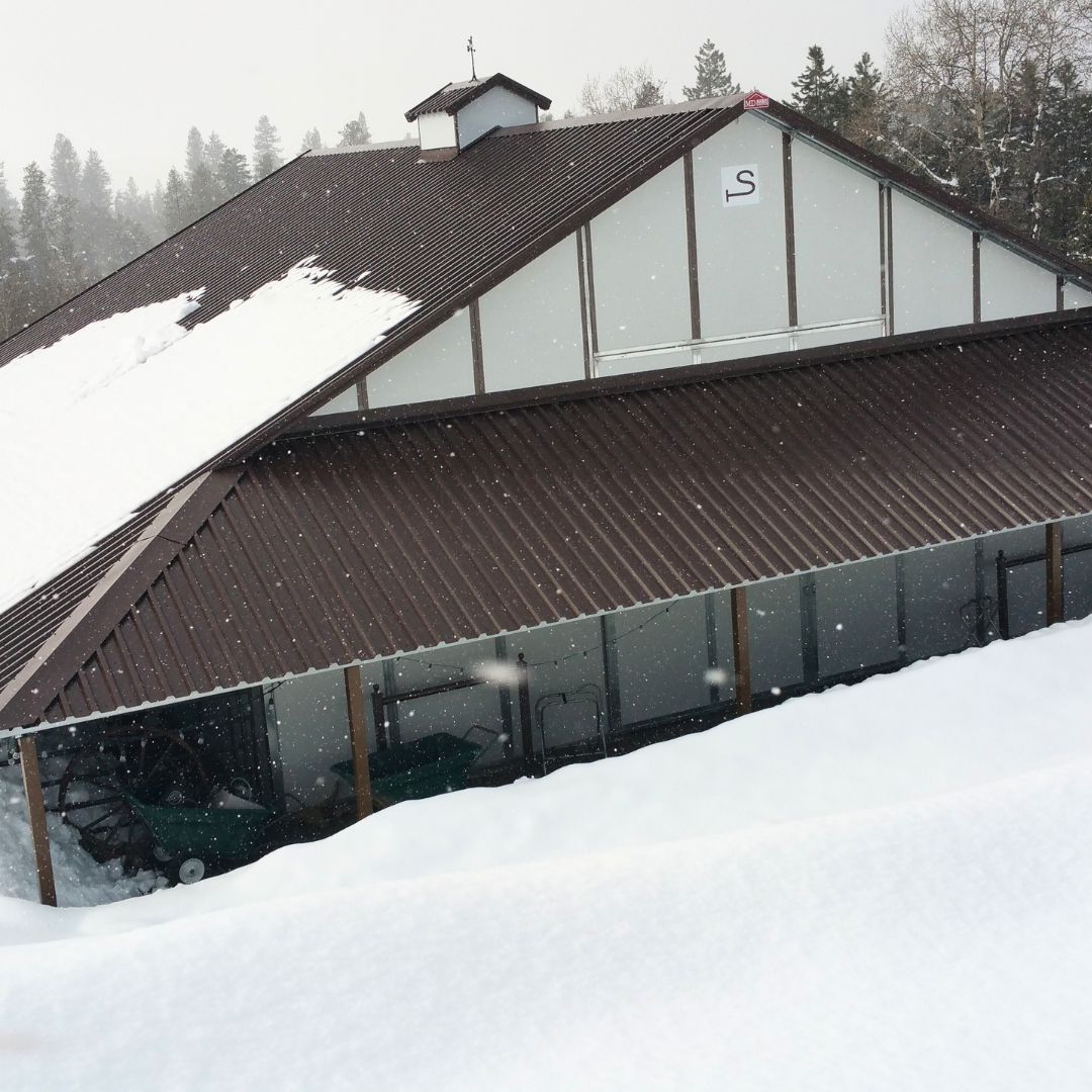 MDBarnmaster's tweet photo. Is your barn built to withstand the winter elements? MD Barnmaster barns are designed for heavy snow loads and can withstand even the harshest weather conditions. #MDBarnmaster #Buildabetterbarn https://t.co/K0M2RQDkH9