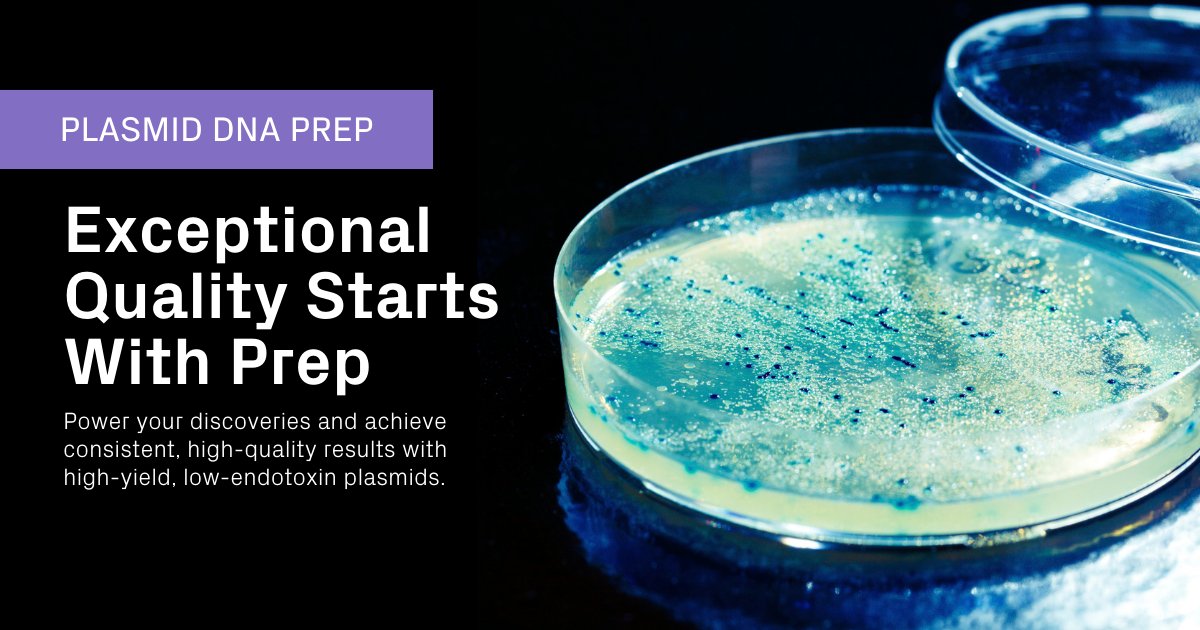 AzentaSciences's tweet image. Enhance your research with our high-yield, low-endotoxin #PlasmidPrep. Enjoy consistent and reliable results that empower your discoveries. Explore now: hubs.ly/Q02_Bqft0

#PlasmidPrep #DNAPrep