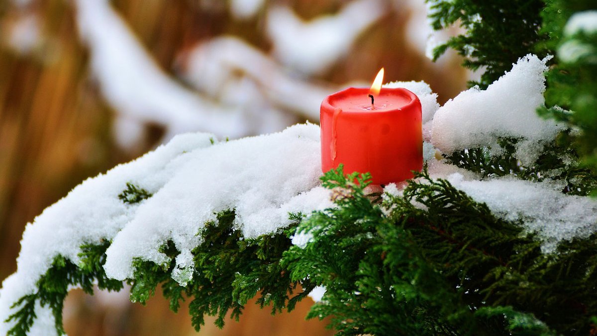 Ajankohtaista Pohjois-Pohjanmaan ja Kainuun maahanmuutto- ja kotoutumisasioista Kotoutumistyön uutiskirjeessä.

➡️ ely-pop.viestitys.fi/messages/view/…

#maahanmuutto #kotoutuminen <a href="/KainuunELY/">Kainuun ELY-keskus</a>