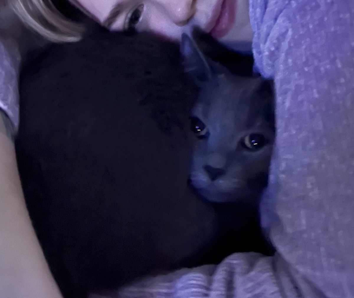 Hello, kids💖

Yesterday we bought a gym membership, ‘cause it’s no longer possible to run outside (it’s -16 ° C)🫤

We’re warming up with Mushroom in the bed n waiting for the husband from work to go to training

I hope y’all are having a great day🫂❤️✨