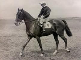 HORSERACING1002's tweet image. HYPERION 🇬🇧1930
(GAINSBOROUGH - SELENE BY CHAUCER)#Hyperion
B/O Earl Of Derby 🇬🇧Apr 18,1930.
T/ George Lambton
13-9-1-2--£29,509
New S, Dewhurst S, Prince of Wales S(Goodwood), Chester Vase, Epsom Derby, St Leger S,March S, Burwell S, Prince of Wales S. 
2nd Dillingham S.
3rd…