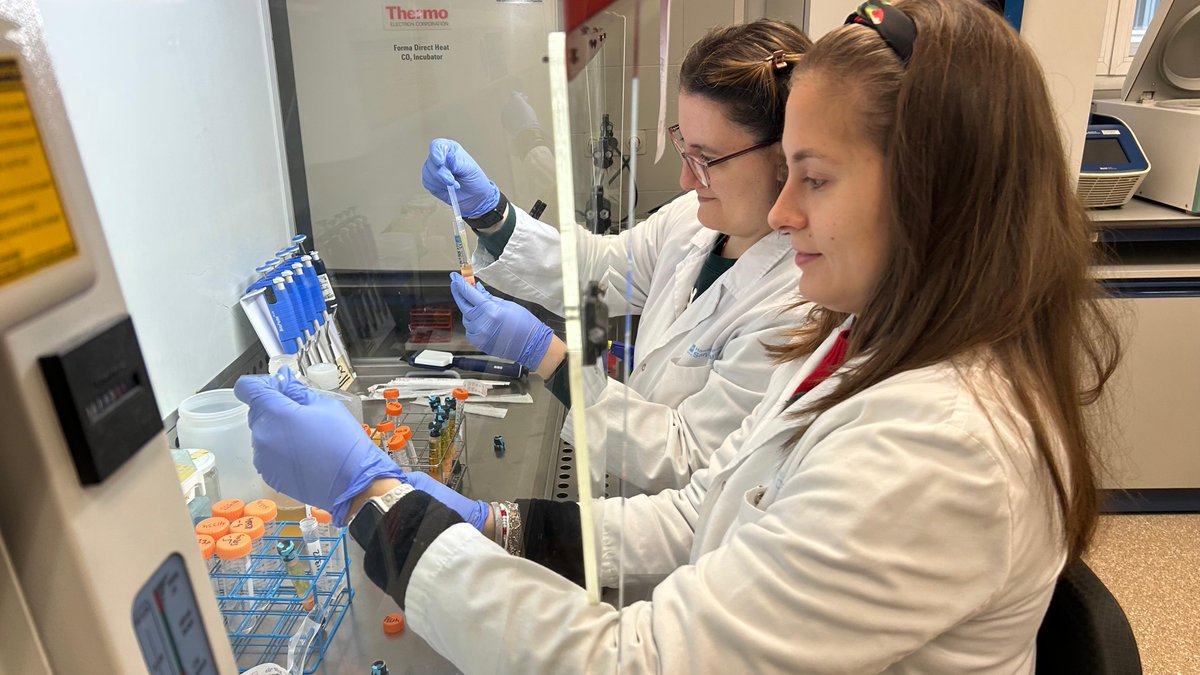 Labgencomplejas's tweet image. On #WorldMSDay, we stand with those living with MS and honor the tireless researchers working toward better treatments and a cure. We're proud to be part of the effort, advancing knowledge and innovation in MS research. Together, we move closer to a world without MS. #MSResearch